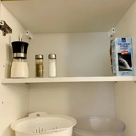Siriuskogel Im Zentrum Von Apartment